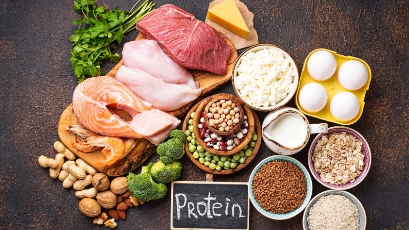 Protein là thành phần quan trọng giúp duy trì cảm giác no và ổn định năng lượng
