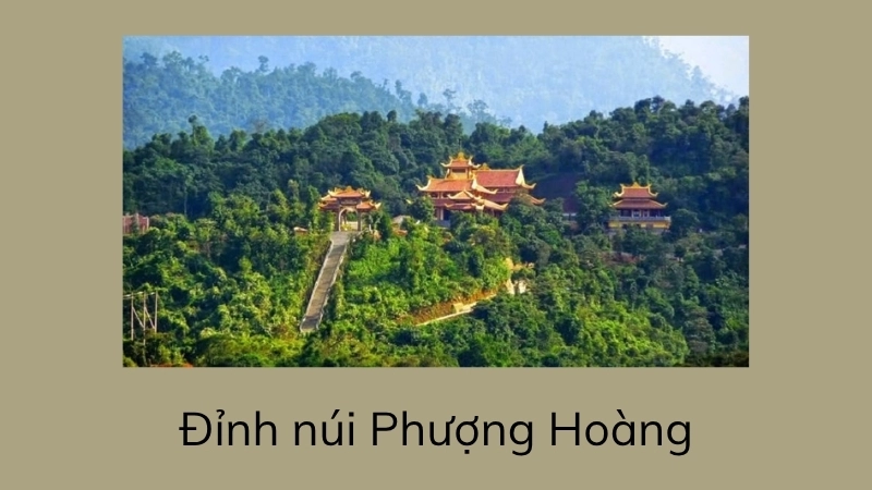 Ngắm cảnh sắc thiên nhiên rực rỡ trên đỉnh núi Phượng Hoàng