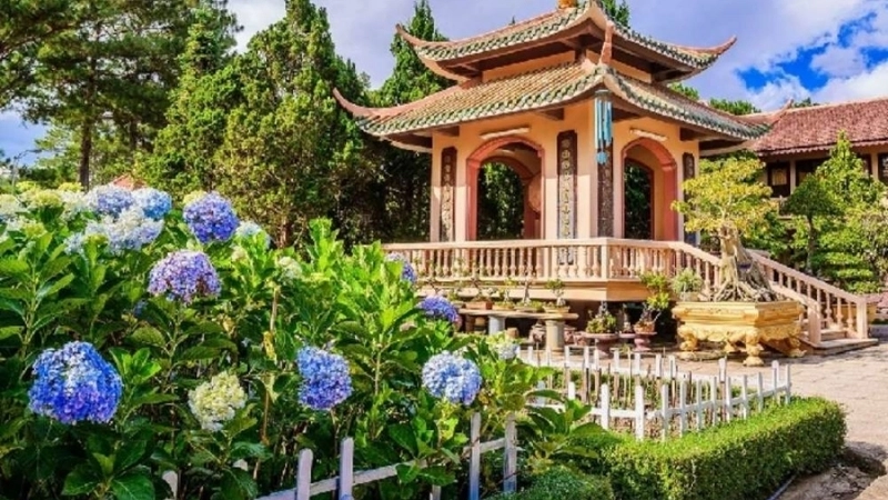 Khám phá vườn hoa và cảnh quan xung quanh