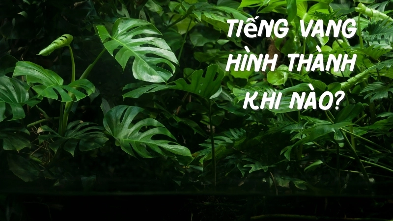 Tiếng vang được hình thành khi nào? Khi có một vật cản đủ lớn và cứng để phản xạ âm thanh