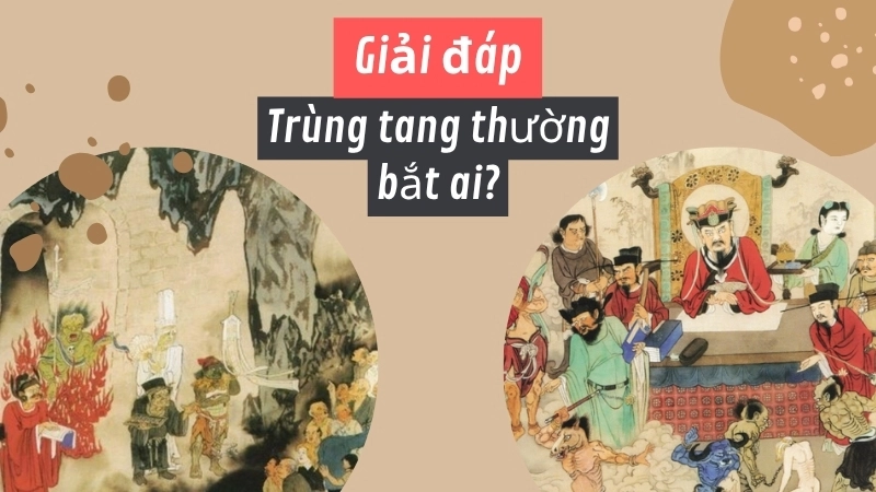 Trùng tang thường bắt ai?