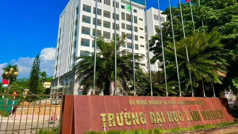 Giới thiệu về trường Đại học Lâm nghiệp