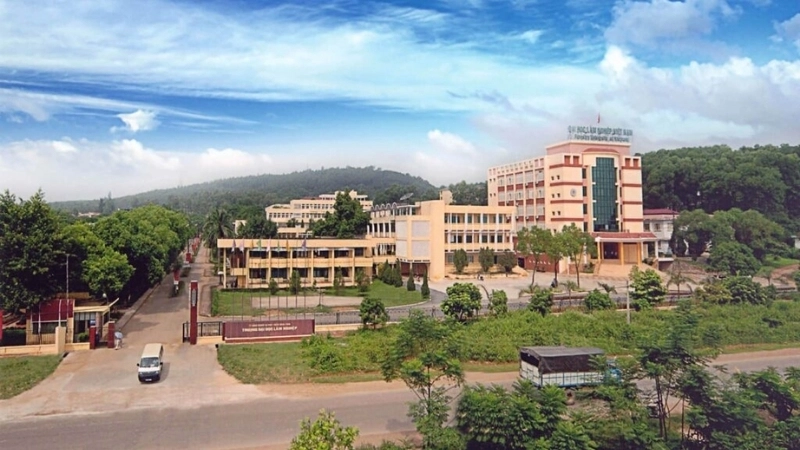 ại học Lâm nghiệp đã đào tạo hơn 32.000 kỹ sư, cử nhân