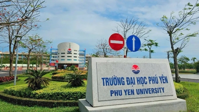 Tổ chức bộ máy chuyên nghiệp, hoạt động đa dạng