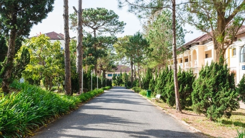 Trường Đại học Yersin Đà Lạt tuyển sinh