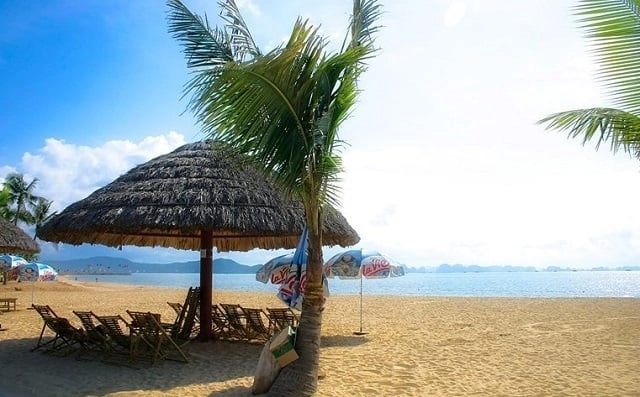 Đắm mình thư giãn giữa thiên nhiên cùng tắm biển Tuần Châu xanh ngắt