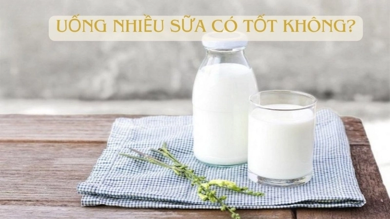 Uống sữa nhiều có bị sao không?