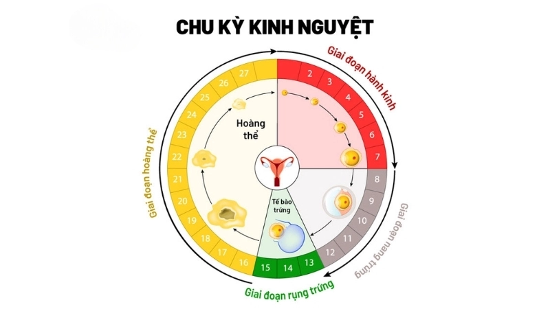 Dấu hiệu nhận biết khi bị rối loạn kinh nguyệt