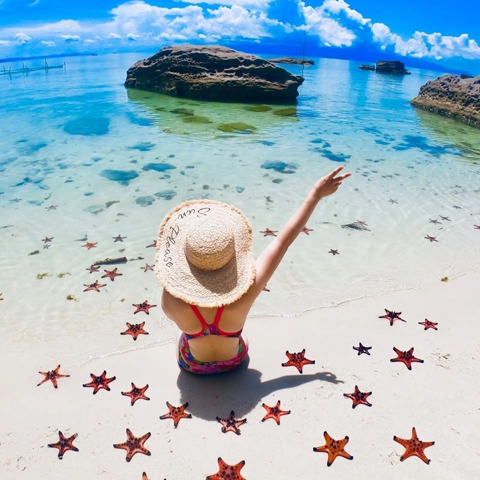 Đắm chìm trong khám phá thế giới san hô kỳ diệu sống động
