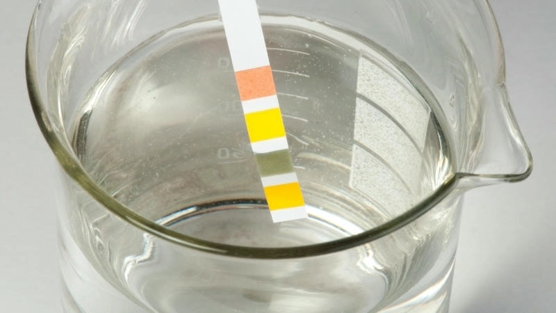 Dung dịch phenol tạo màu tím đặc trưng khi thêm dung dịch sắt(III) clorua