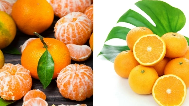 Hướng dẫn cách phân biệt cam và quýt từ màu sắc đến mùi hương