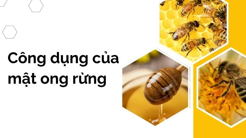 Mật ong rừng là nguyên liệu tuyệt vời trong chăm sóc da