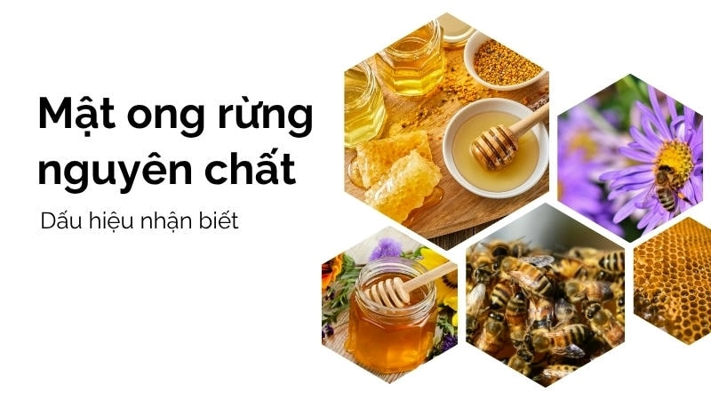 Mật ong rừng nguyên chất thường có váng bọt và cặn phấn hoa tự nhiên