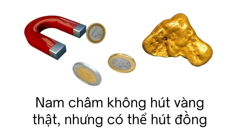 Nam châm không hút vàng thật, nhưng có thể hút đồng