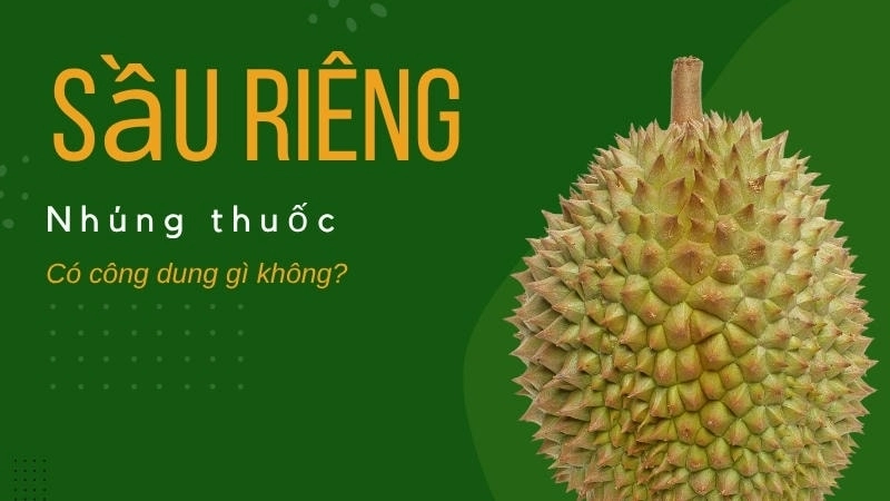  Sầu riêng nhúng thuốc giúp người bán thu hoạch và vận chuyển dễ dàng hơn