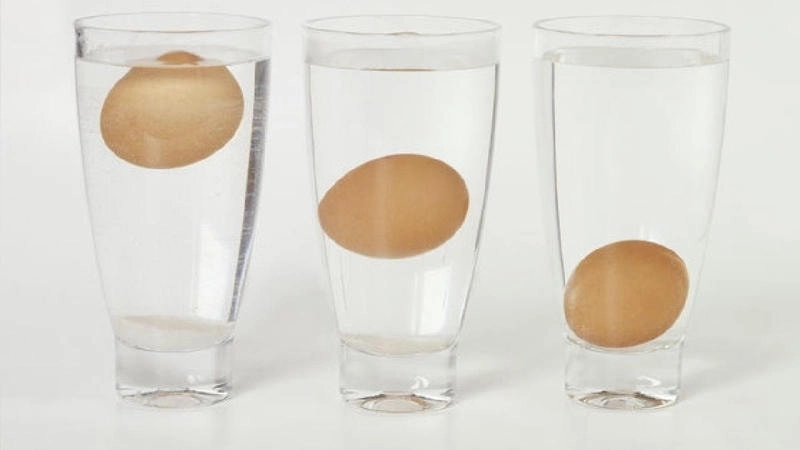  Trứng ung nổi trên mặt nước khi thử bằng phương pháp thả vào nước lạnh