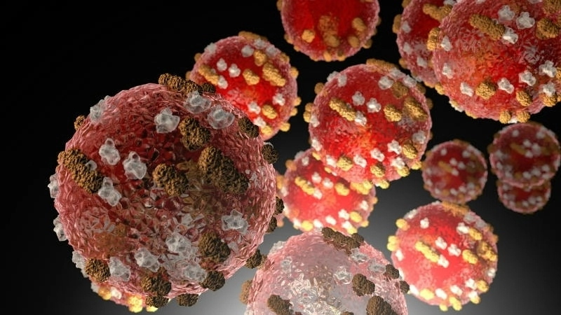 Virus Rubeola, tác nhân chính gây bệnh sởi ở người