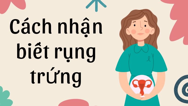 Tại sao cần nhận biết ngày rụng trứng chính xác?