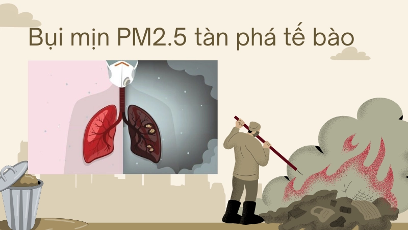  Hình ảnh phổi bị tổn thương viêm nhiễm do bụi mịn PM2.5