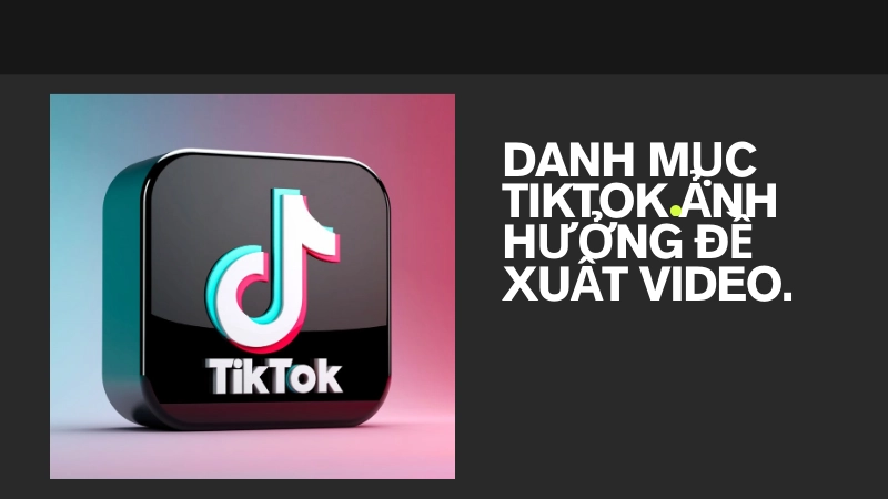 Danh mục TikTok ảnh hưởng đề xuất ra sao