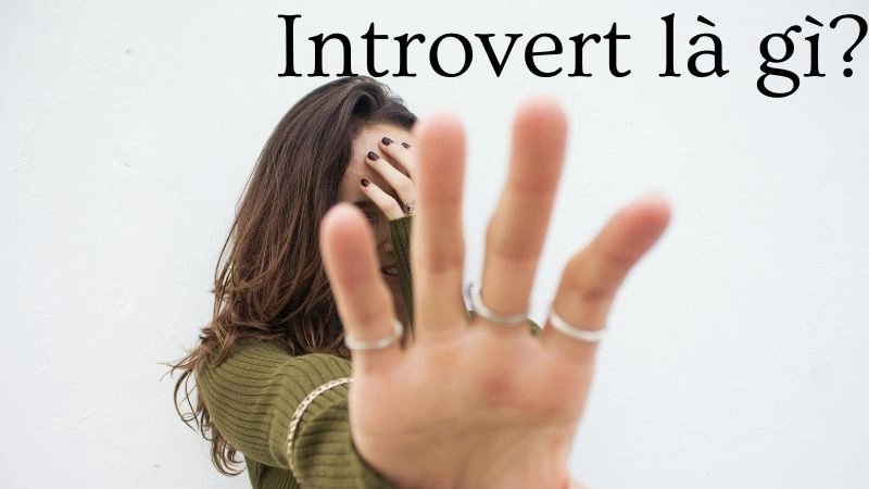 Introvert là gì? Bản ngã lặng lẽ giữa đám đông